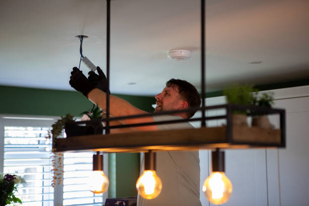 Best Residential Electrician Services  in Hodgkins, IL