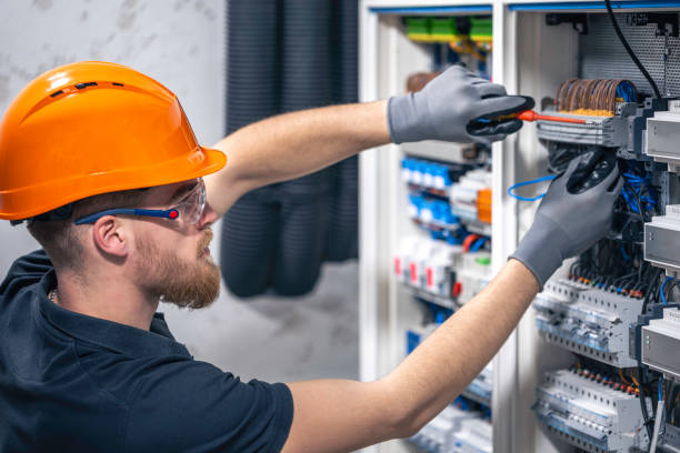 Best Electrician for Home Renovation  in Hodgkins, IL
